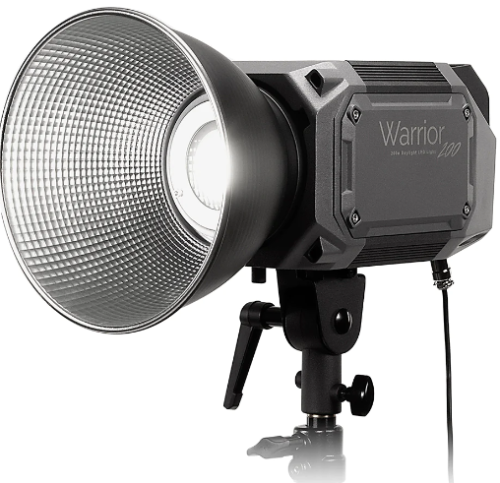 Warrior 200D 주광색 LED 조명 - 고강도 200W 주광색(5600k) LED 조명, 스틸 및 비디오용 5600k 조명
